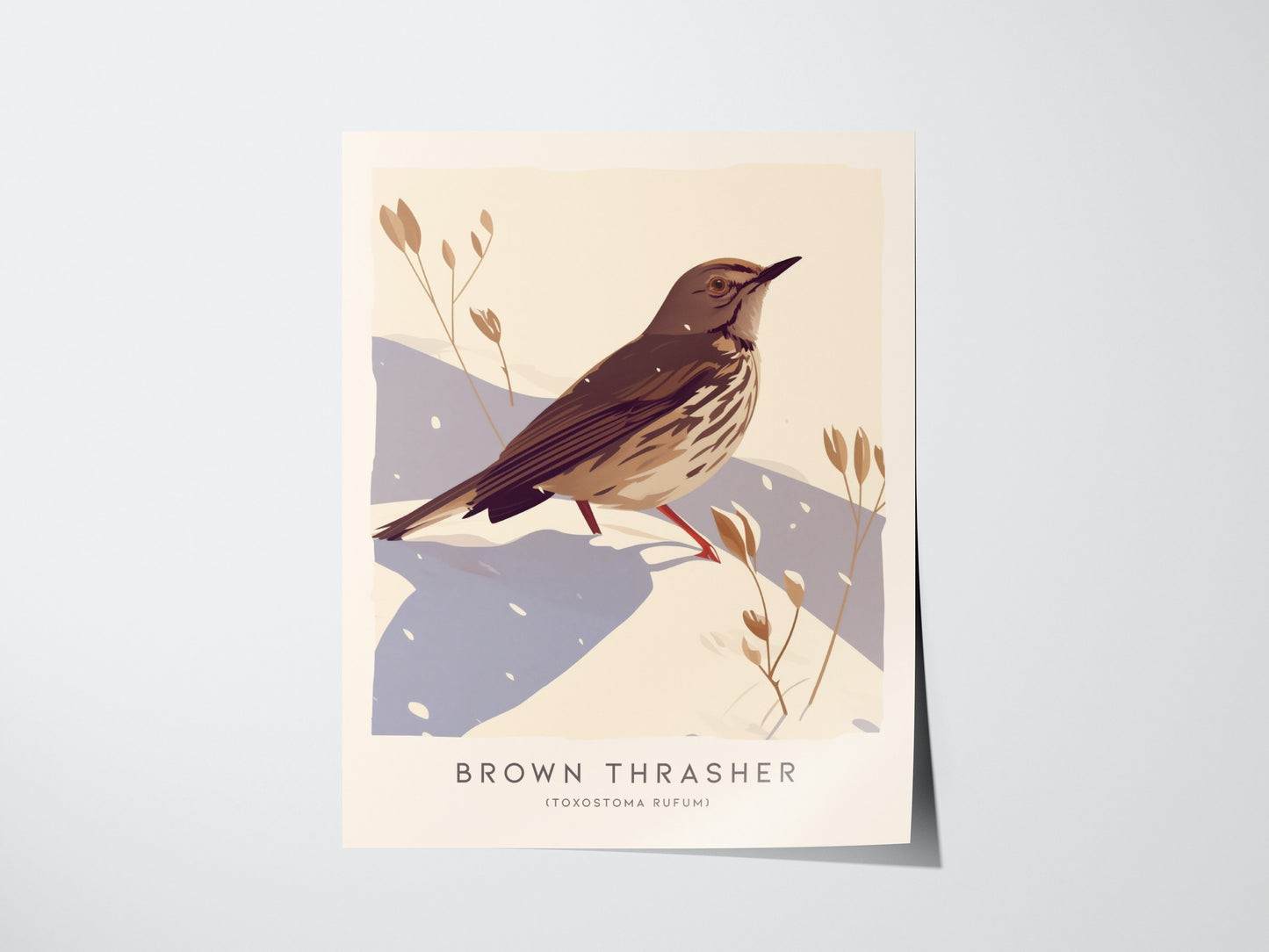 Brown Thrasher Audubon Print | Modern Bird Lover Wall Art | Framed or Unframed