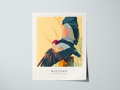 Buzzard, Cathartes aura Poster | Turkey Vulture Bird Wall Art — giclée print detail on matte paper