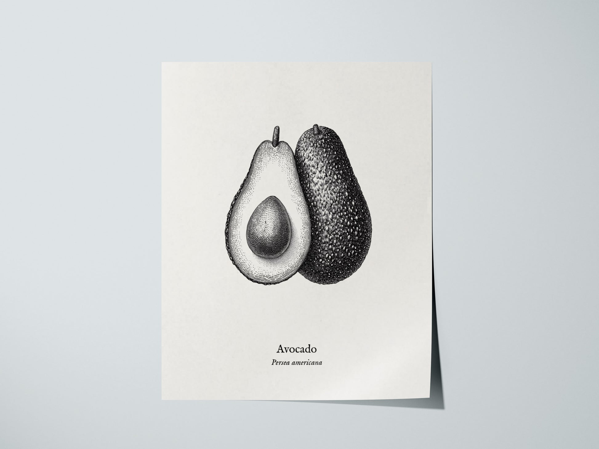 Print 01