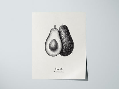 Print 01