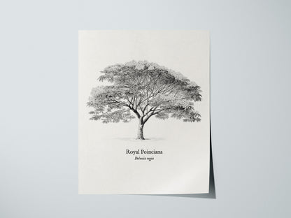 Print 01