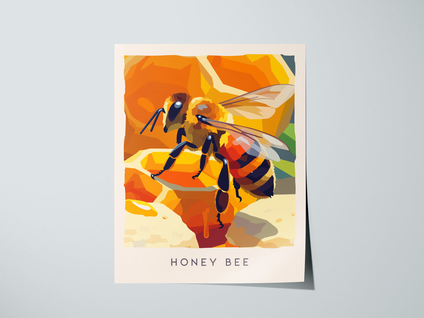 Print 01