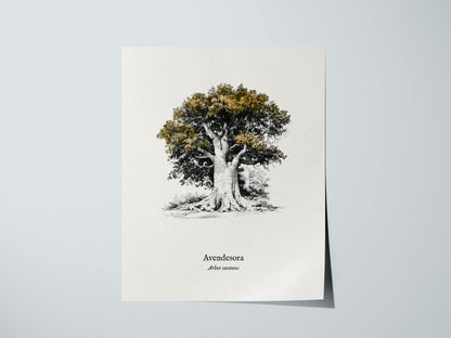 Avendesora Poster | Arbor Cantans Pen and Ink Print | Vintage Botanical Illustration Wall Art — giclée print detail on matte