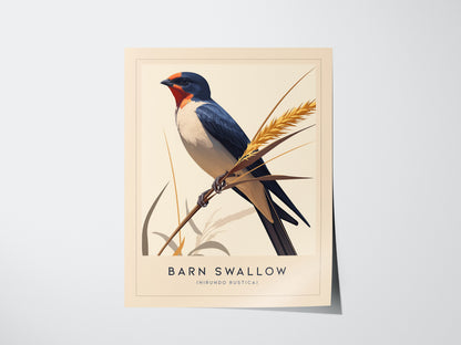 Barn Swallow Audubon Print | Bird Lover Wall Art | Framed or Unframed