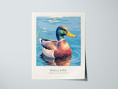 Mallard Poster | Graceful Duck on Tranquil Waters Wall Art — giclée print detail on matte paper