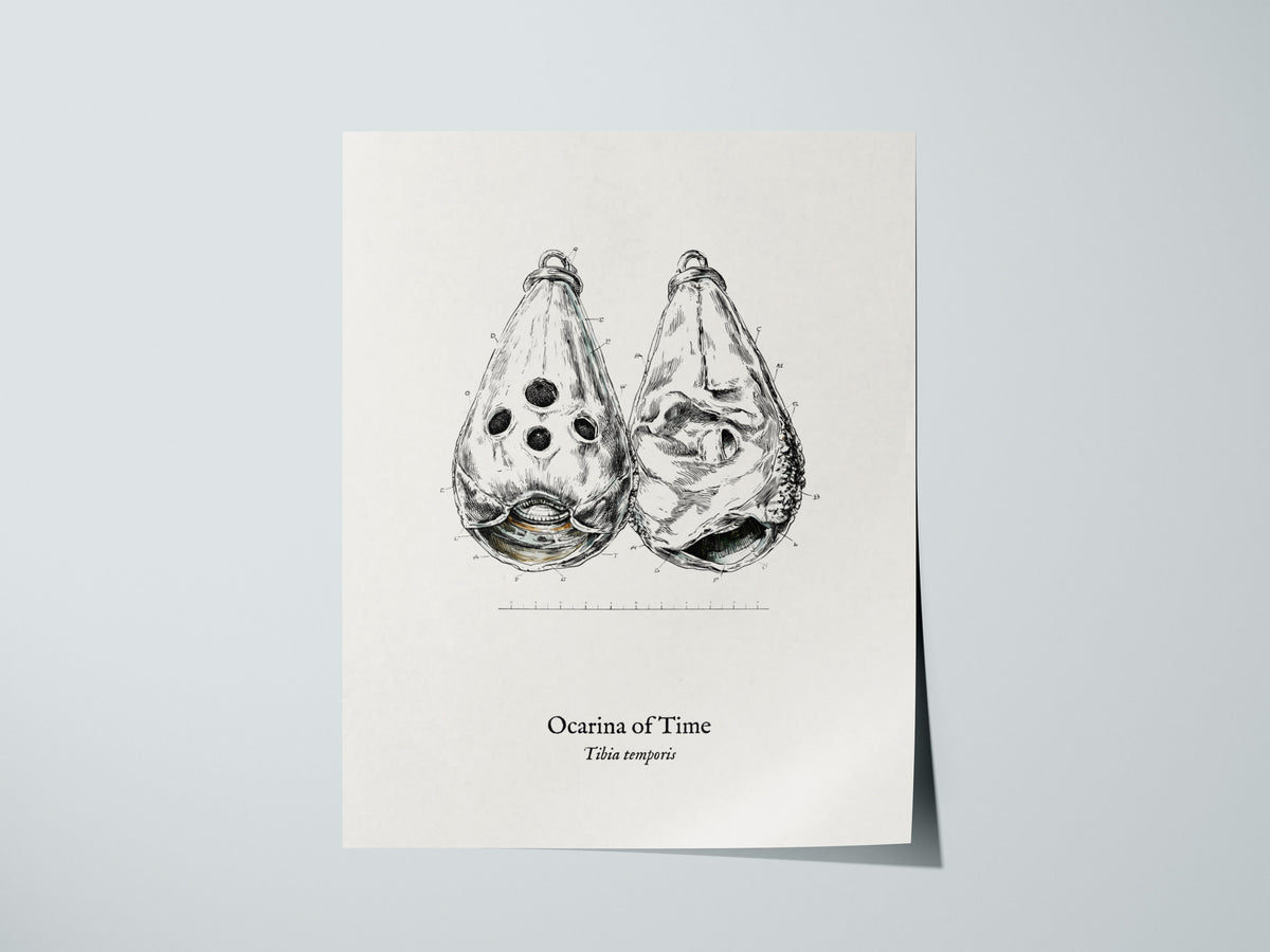 Ocarina of Time Poster | Tibia temporis Vintage Pen and Ink Print Scientific Illustration Wall Art — giclée print detail on m