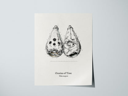 Ocarina of Time Poster | Tibia temporis Vintage Pen and Ink Print Scientific Illustration Wall Art — giclée print detail on m