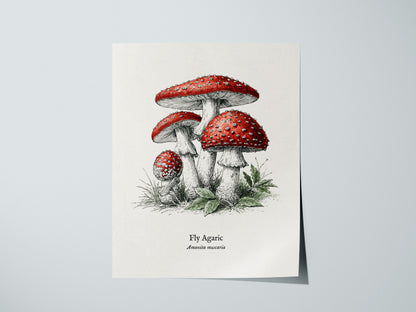 Print 01