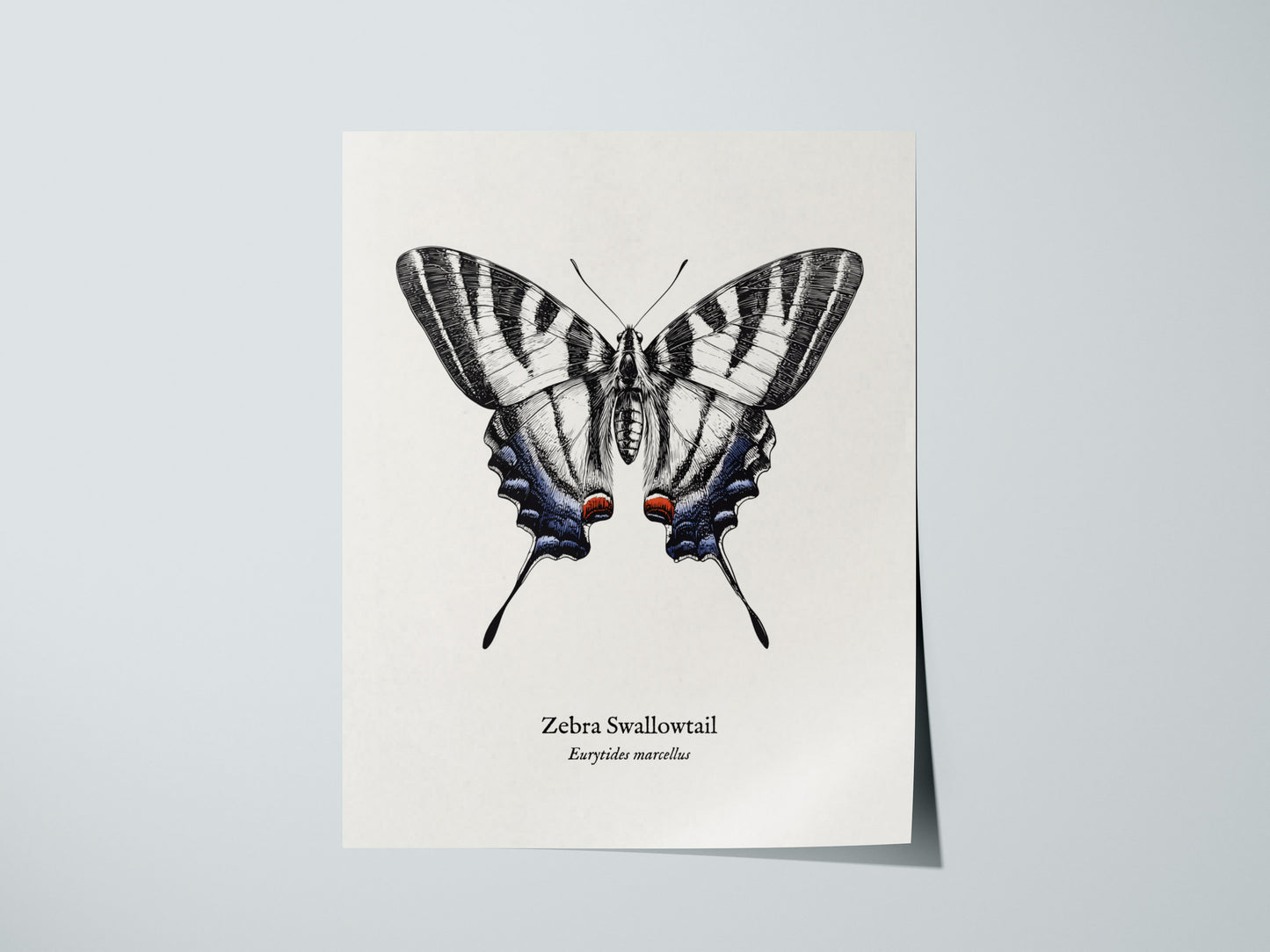 Print 01