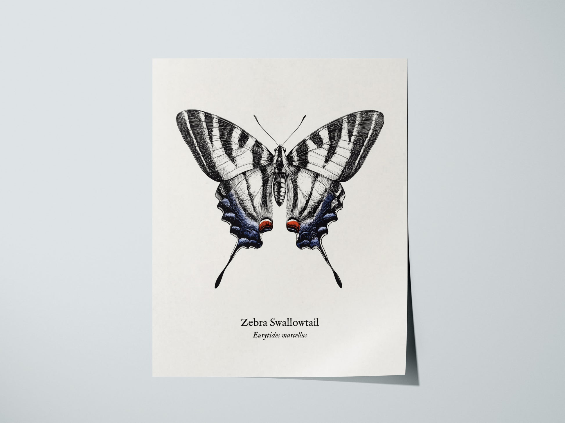 Print 01