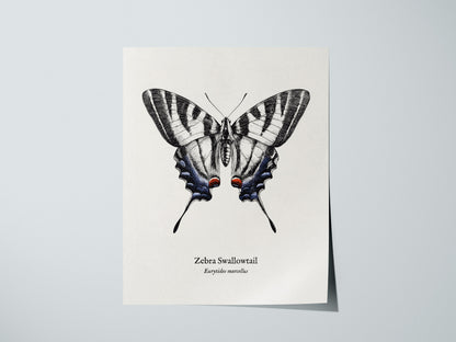 Print 01