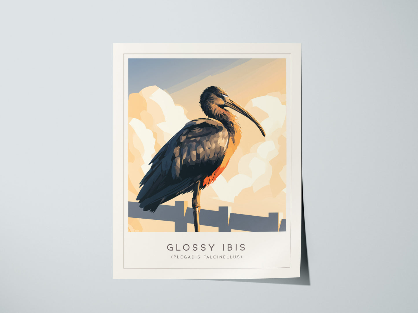 Glossy Ibis Poster | Iridescent Wading Bird Nature Wall Art — giclée print detail on matte paper