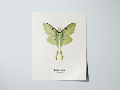 Print 01