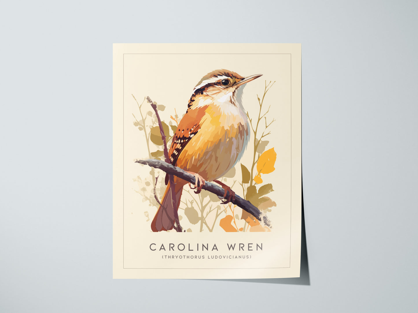 Carolina Wren Audubon Print | Bird Lover Wall Art | Framed or Unframed