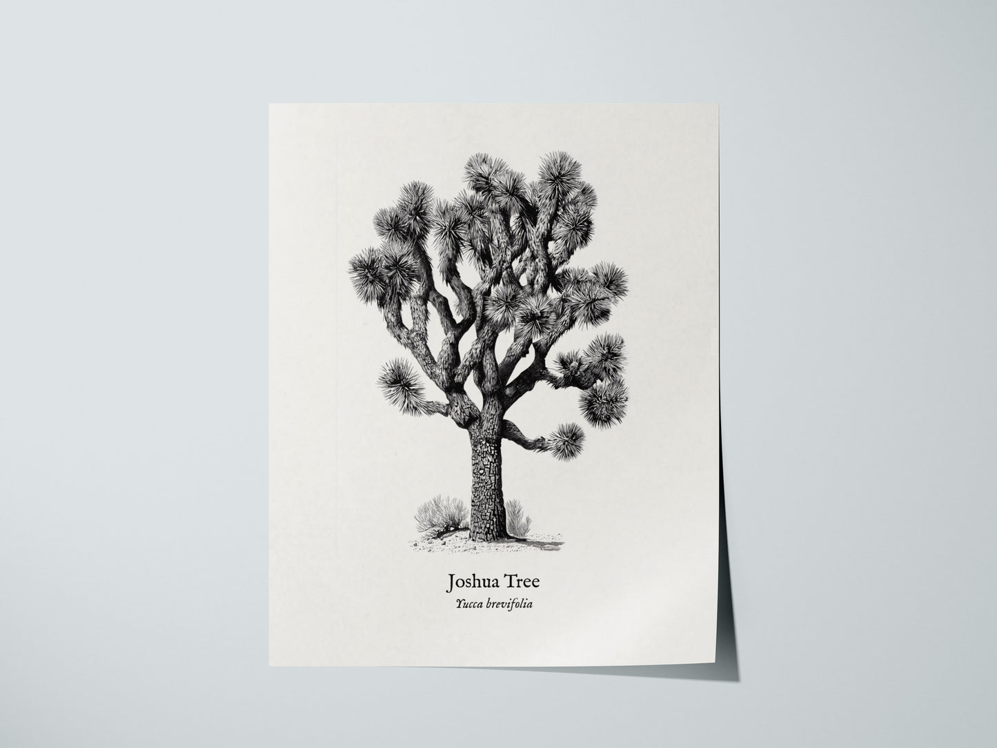 Print 01
