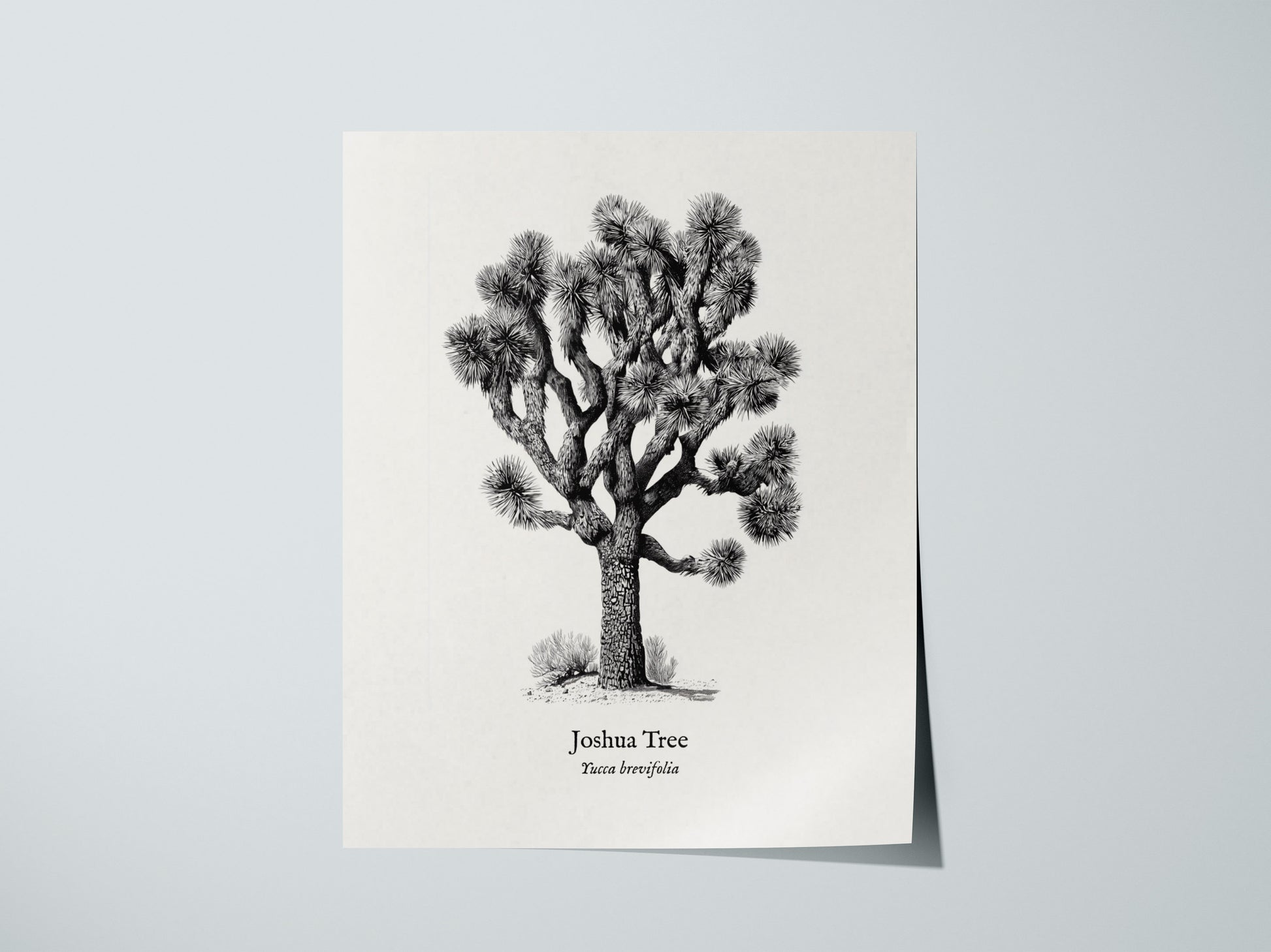 Print 01
