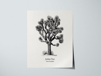 Print 01