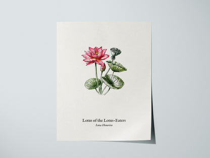 Lotus of the Lotus-Eaters Poster | Vintage Lotus Homerica Scientific Illustration Wall Art — giclée print detail on matte pap