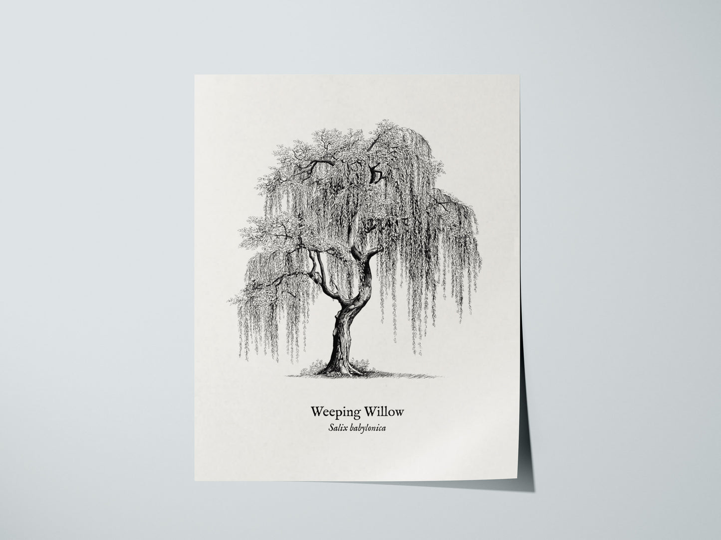Print 01