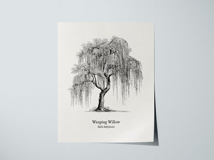 Print 01