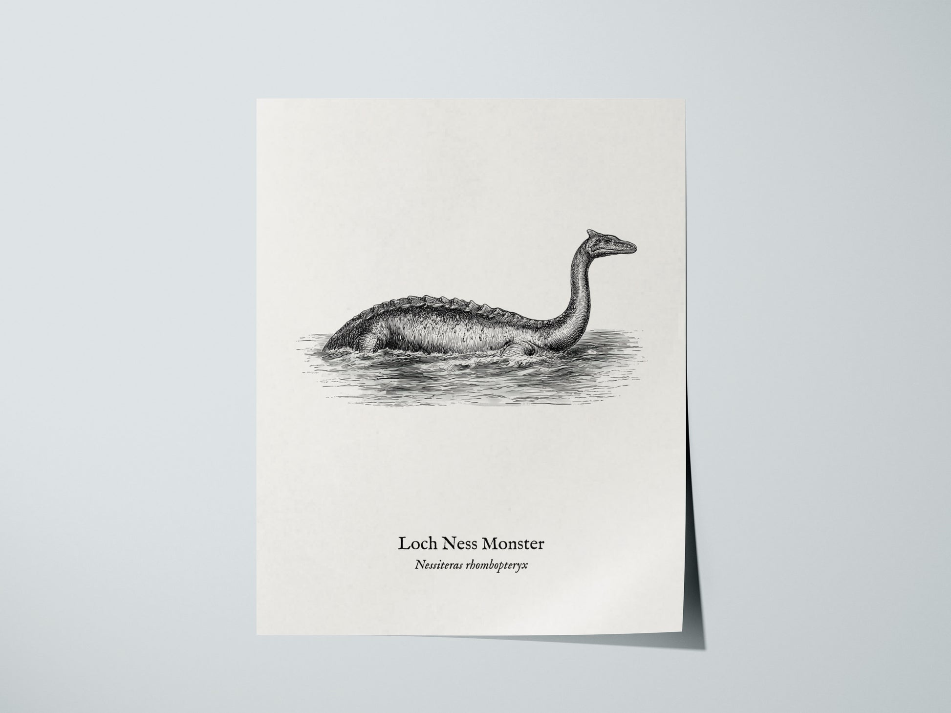 Loch Ness Monster Poster | Vintage Nessiteras rhombopteryx Zoological Illustration Wall Art — giclée print detail on matte pa