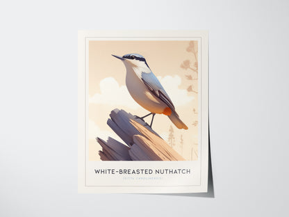 White-Breasted Nuthatch Poster | Minimalist Bird Art Birdwatcher Gift