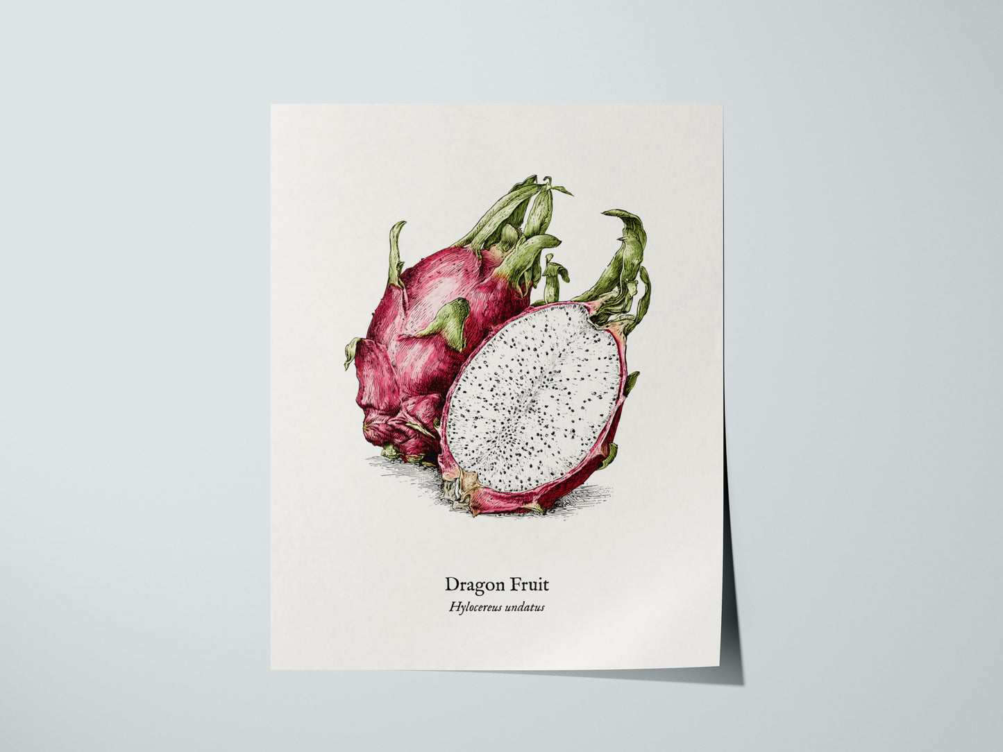 Print 01