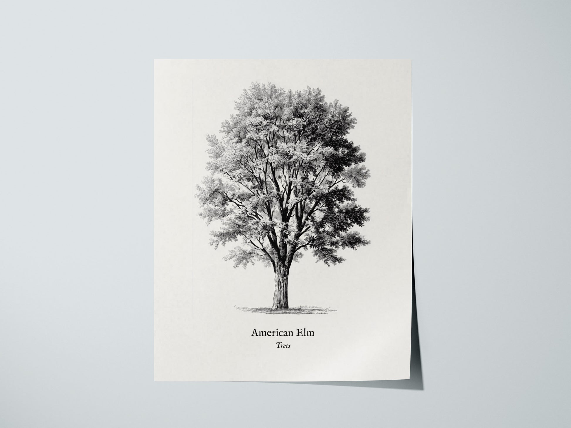 Print 01