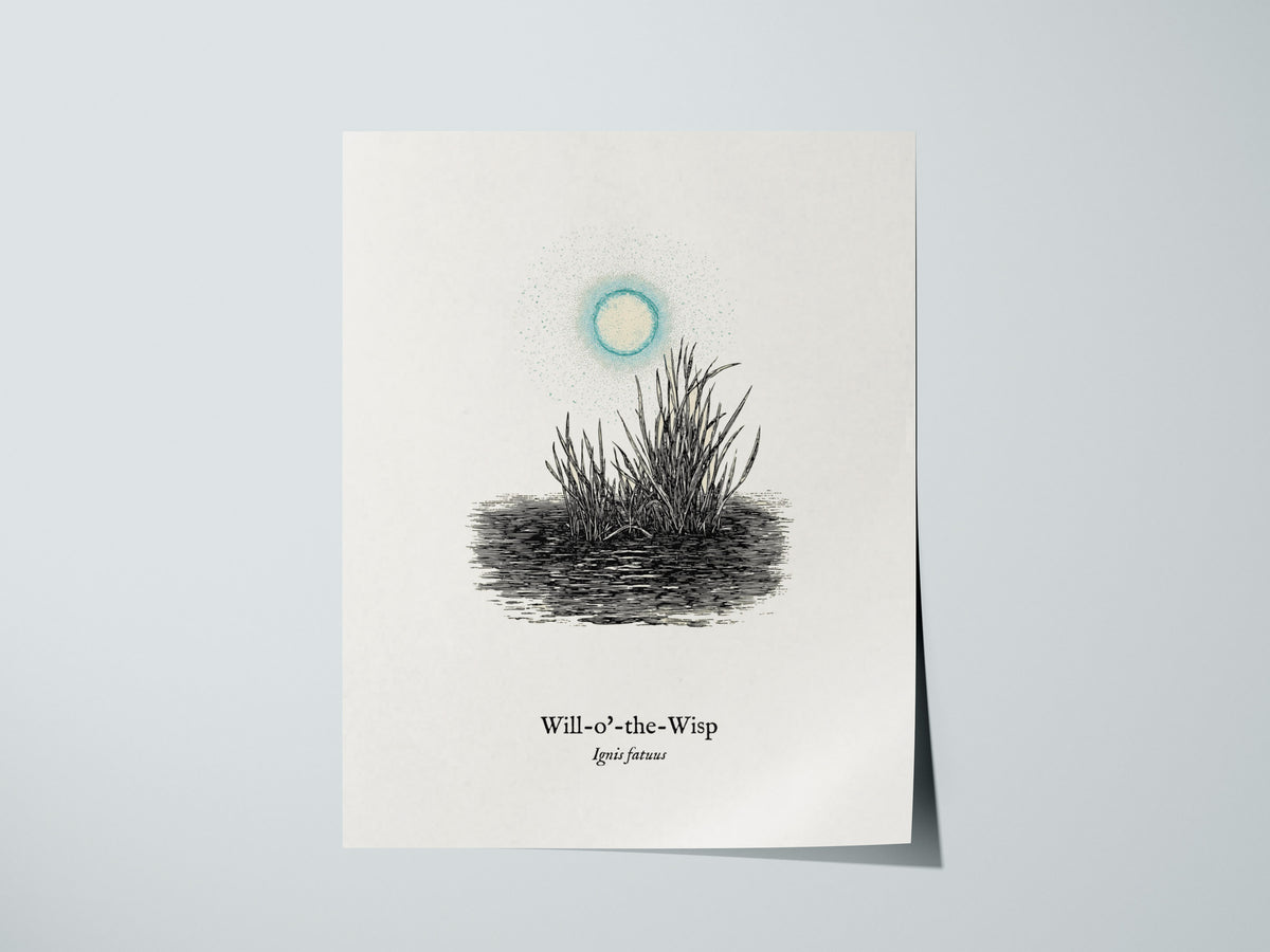 Will-o'-the-Wisp Poster | Ignis Fatuus Pen and Ink Print | Vintage Scientific Illustration Wall Art — giclée print detail on