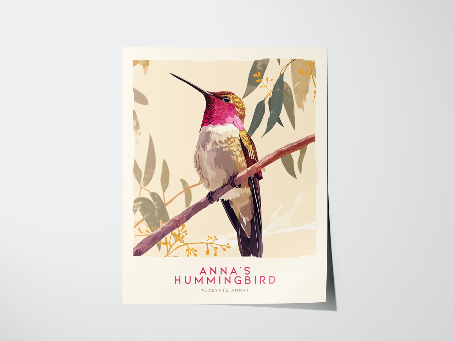 Annas Hummingbird Bird Poster | Vintage Audubon Print Wildlife Wall Art | Framed or Unframed