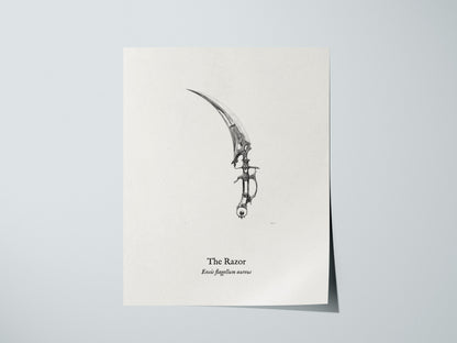 The Razor Poster | Ensis Flagellum Aureus Pen and Ink Print | Vintage Zoological Illustration Wall Art — giclée print detail