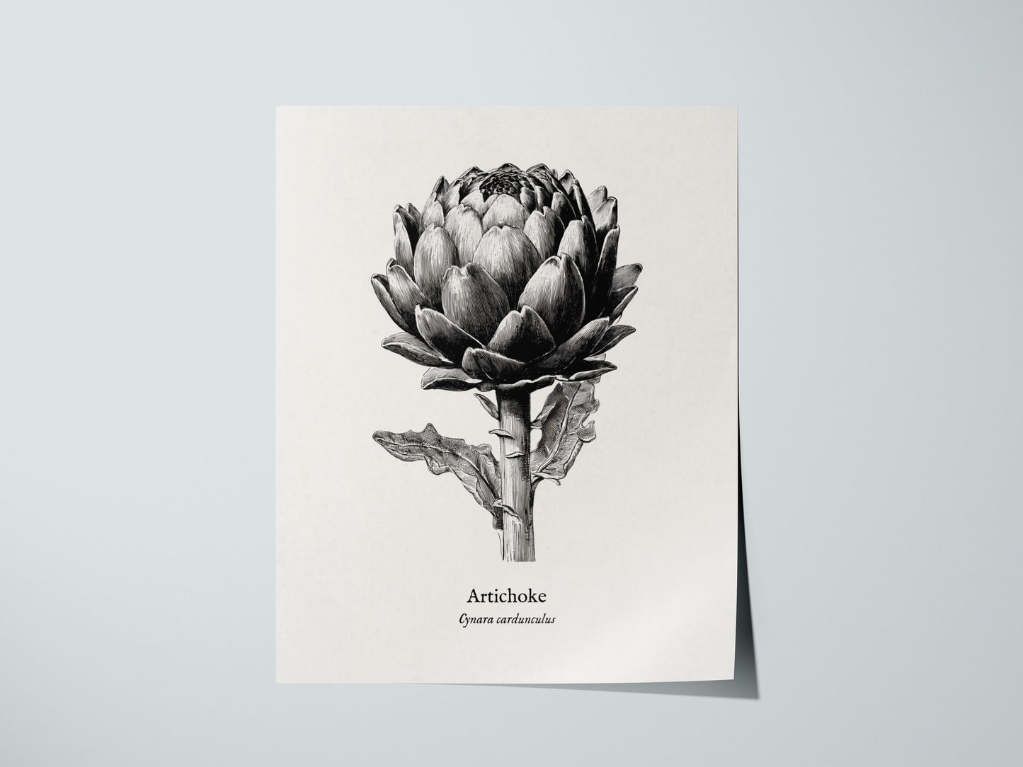 Print 01