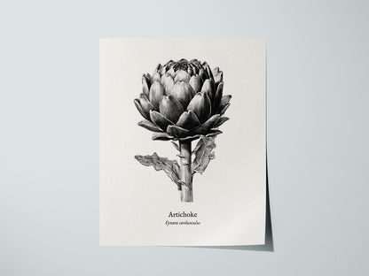 Print 01