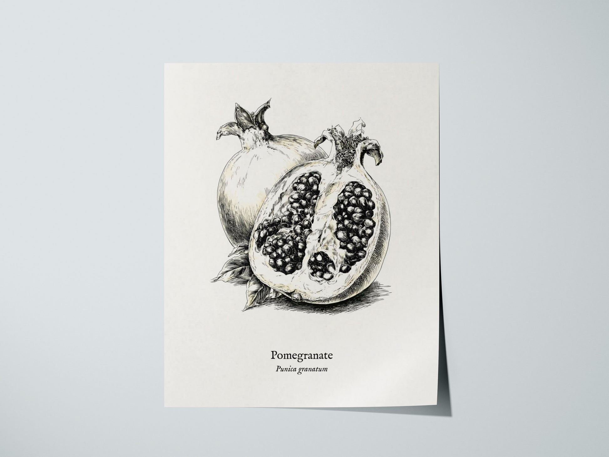 Print 01