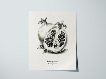 Print 01
