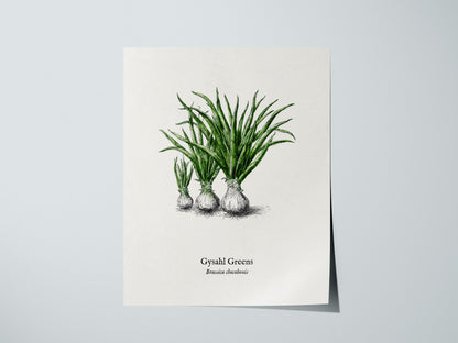 Gysahl Greens Poster | Brassica chocobonis Pen and Ink Print Vintage Botanical Illustration — giclée print detail on matte pa