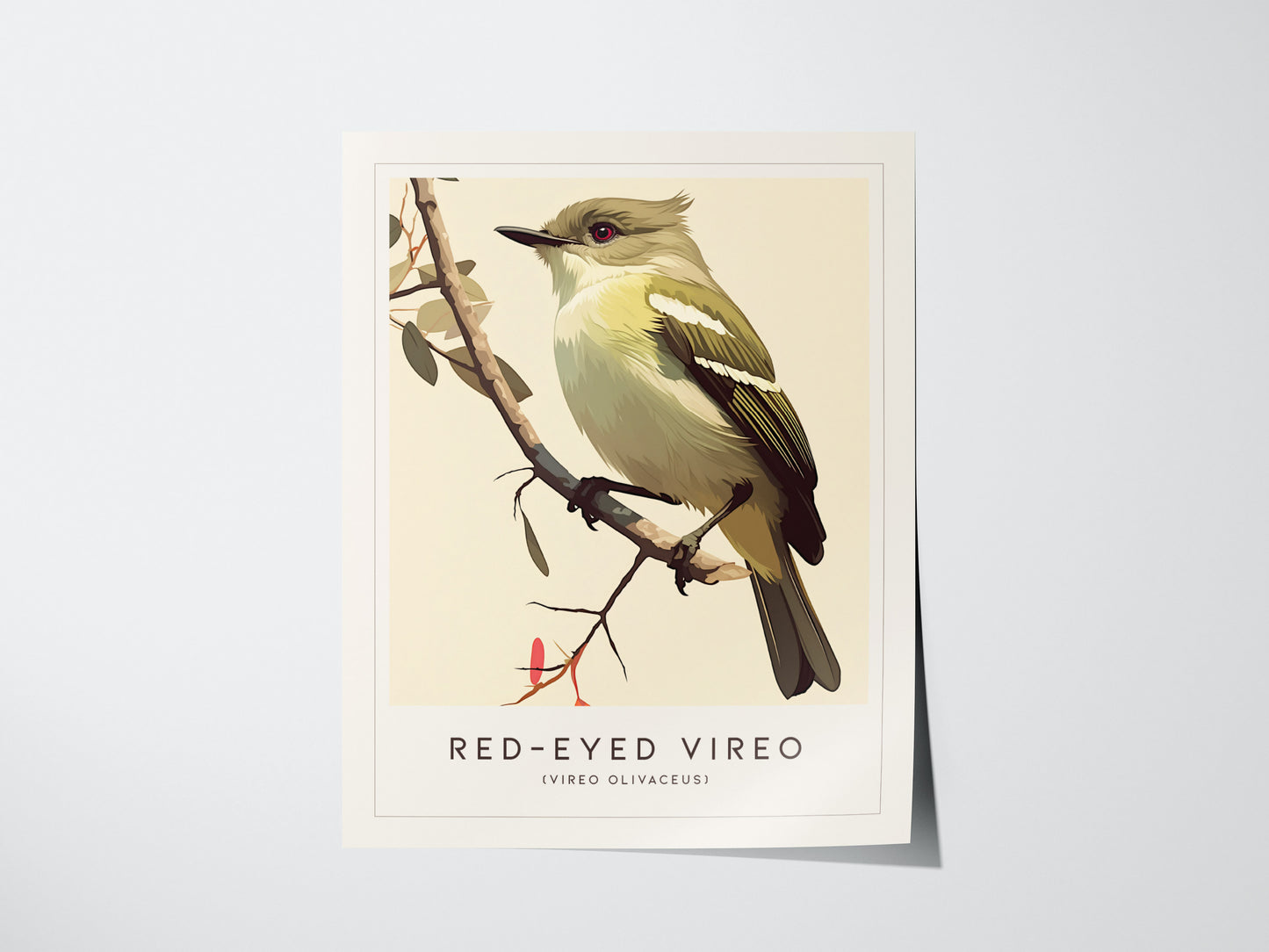 Red-Eyed Vireo Poster | Forest Songbird Wall Art