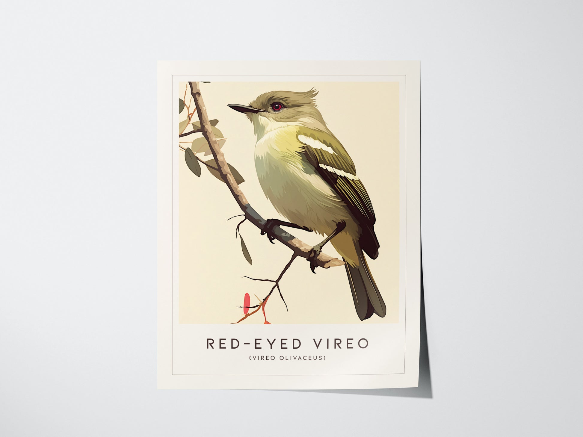Red-Eyed Vireo Poster | Forest Songbird Wall Art