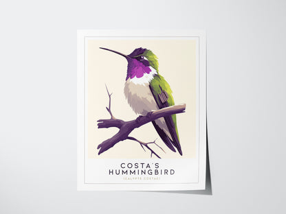 Costas Hummingbird Audubon Print | Bird Lover Wall Art | Framed or Unframed