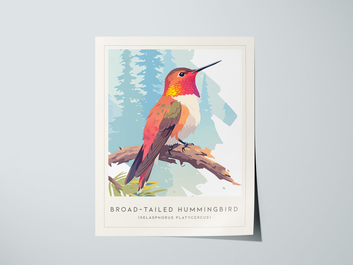 Broad-tailed Hummingbird, Selasphorus platycercus Poster | Vibrant Wildlife Print Nature Wall Art — giclée print detail on ma