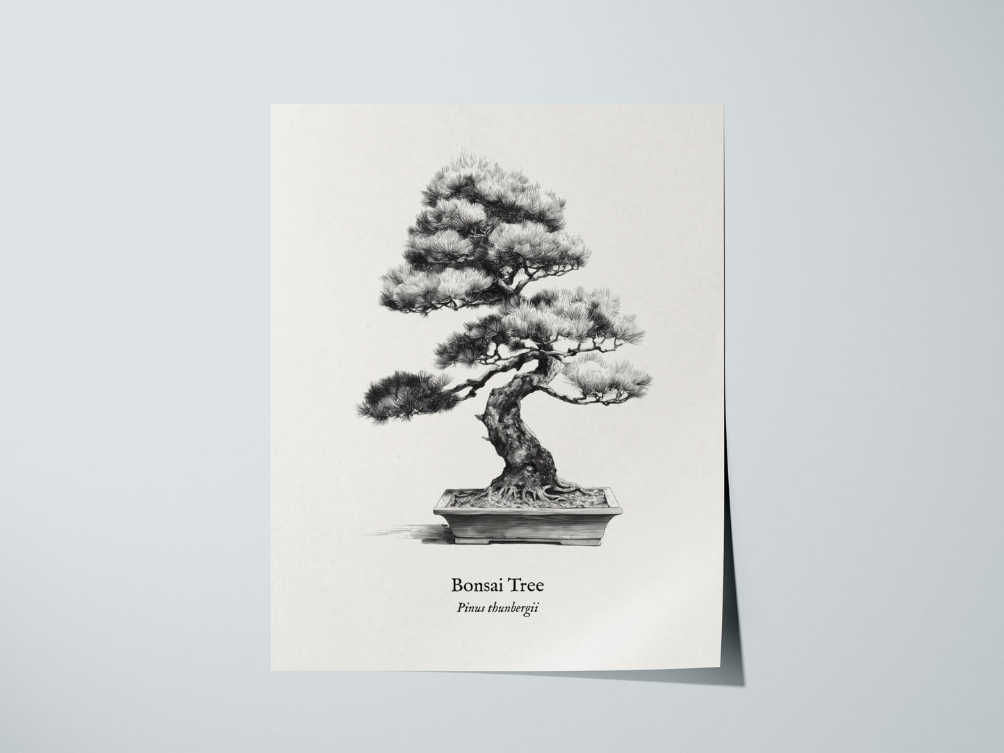 Print 01