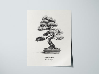 Print 01