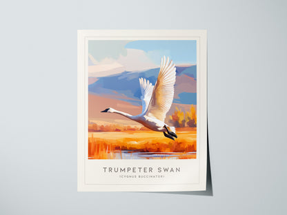 Trumpeter Swan Poster | Elegant Waterbird in Winter Calm Wall Art — giclée print detail on matte paper