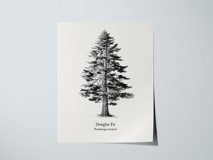 Print 01
