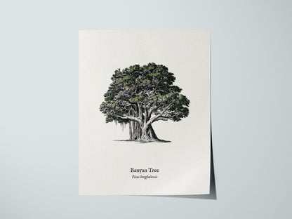 Banyan Tree Poster | Vintage Ficus benghalensis Botanical Illustration Wall Art — giclée print detail on matte paper