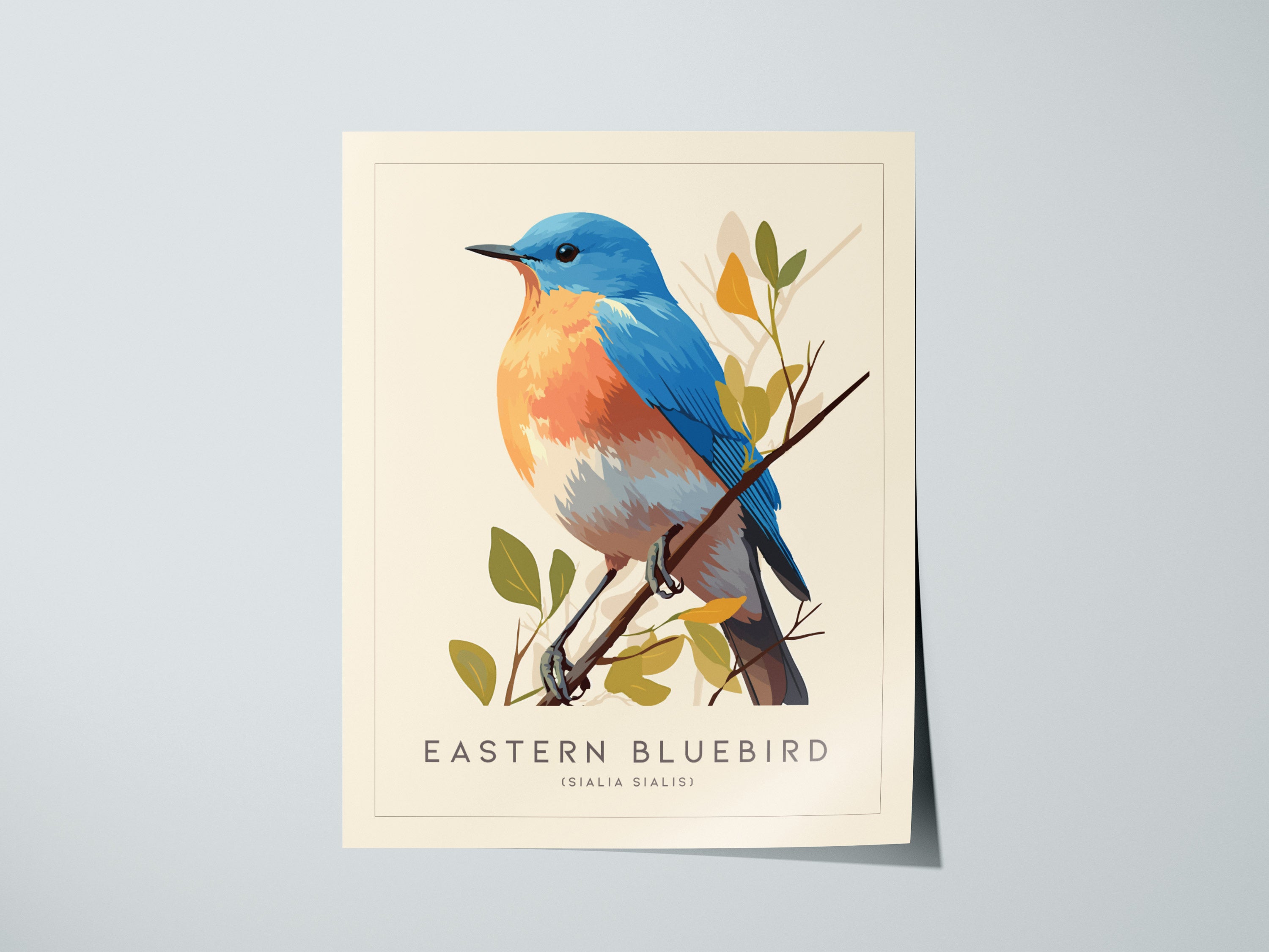 Eastern Bluebird Audubon Print | Bird Lover Cottagecore Wall Art