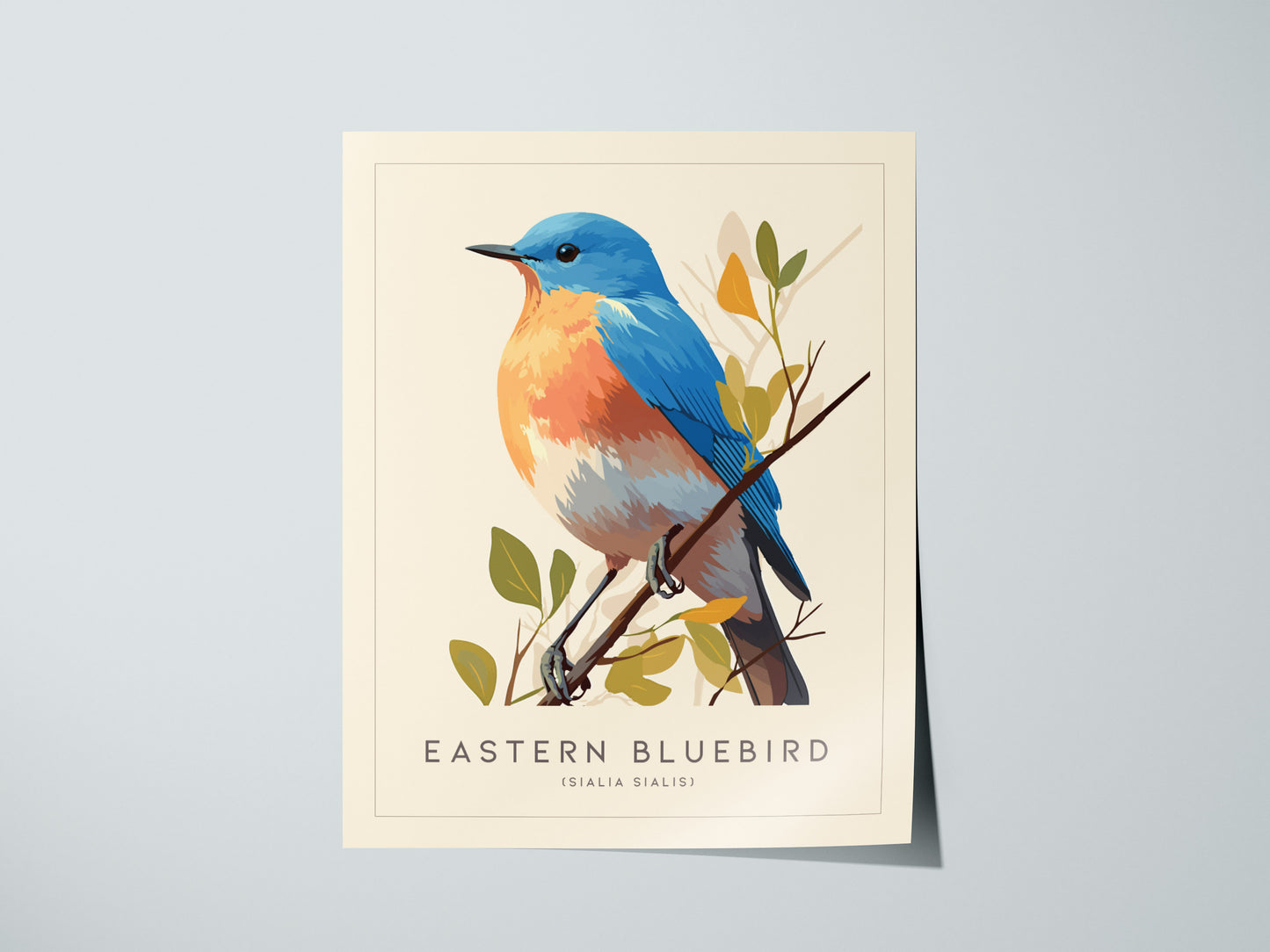 Eastern Bluebird Audubon Print | Bird Lover Cottagecore Wall Art | Framed or Unframed