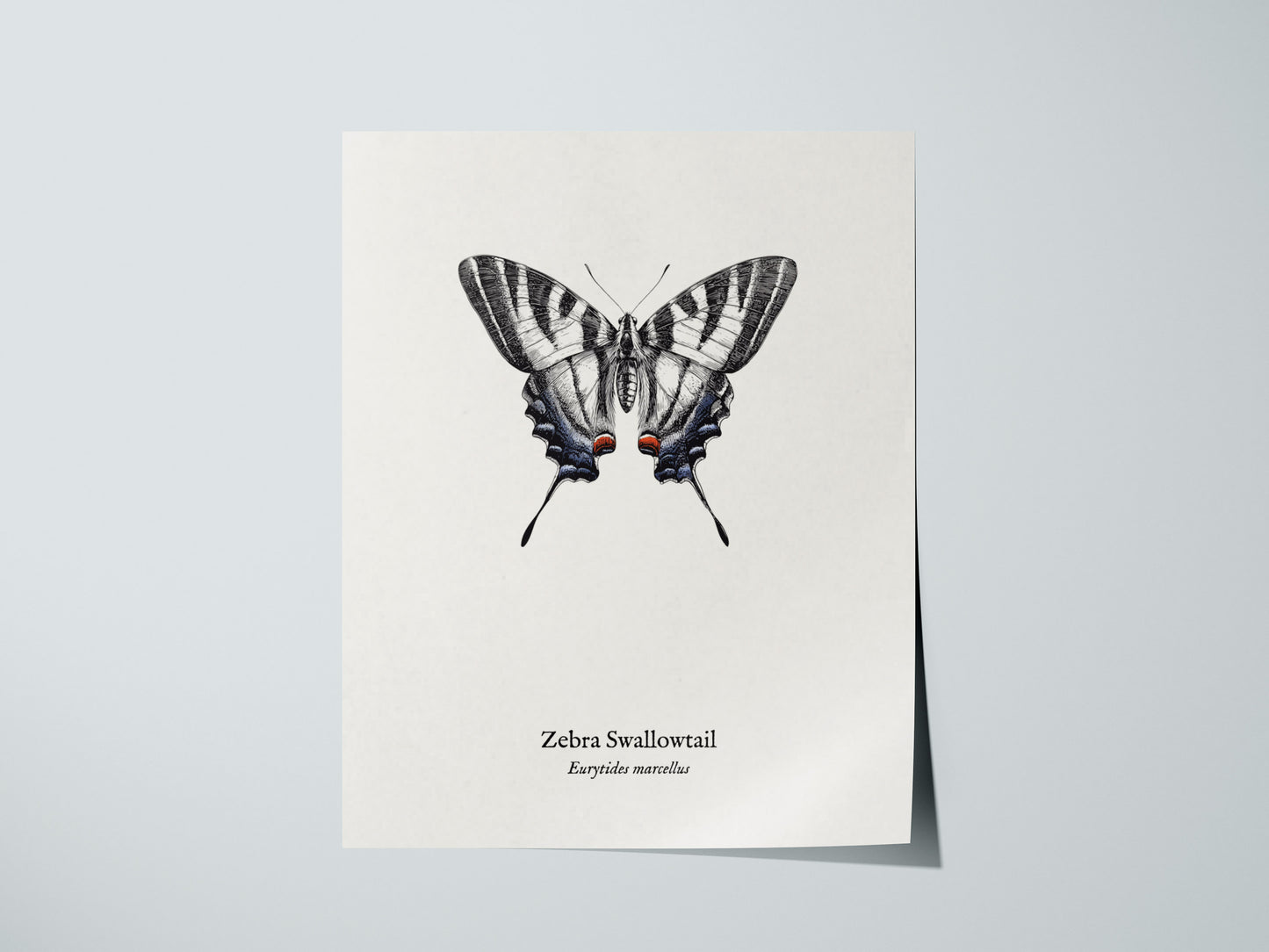 Print 01