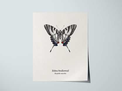 Print 01