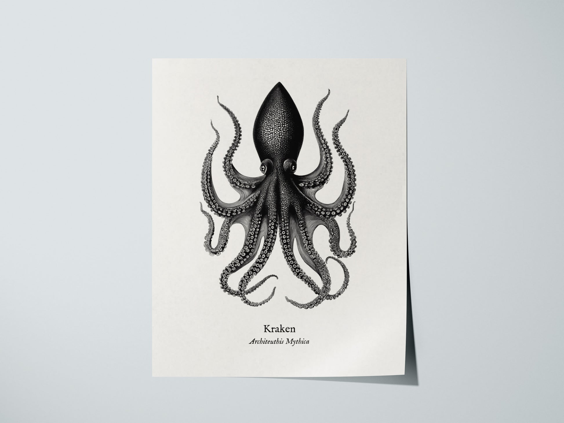 Kraken Poster | Vintage Architeuthis Mythica Zoological Illustration Wall Art — giclée print detail on matte paper